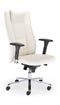 Invitus R17M Steel 36 chrome Invitus R17M Steel 36 chrome